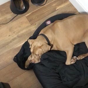 Meet your Posher, Sean